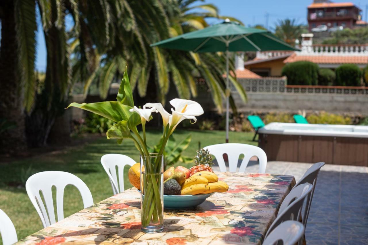 Finca La Gaviota - Las Palmeras Icod De Los Vinos Ngoại thất bức ảnh