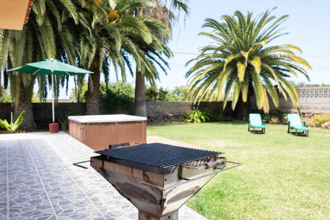Finca La Gaviota - Las Palmeras Icod De Los Vinos Ngoại thất bức ảnh