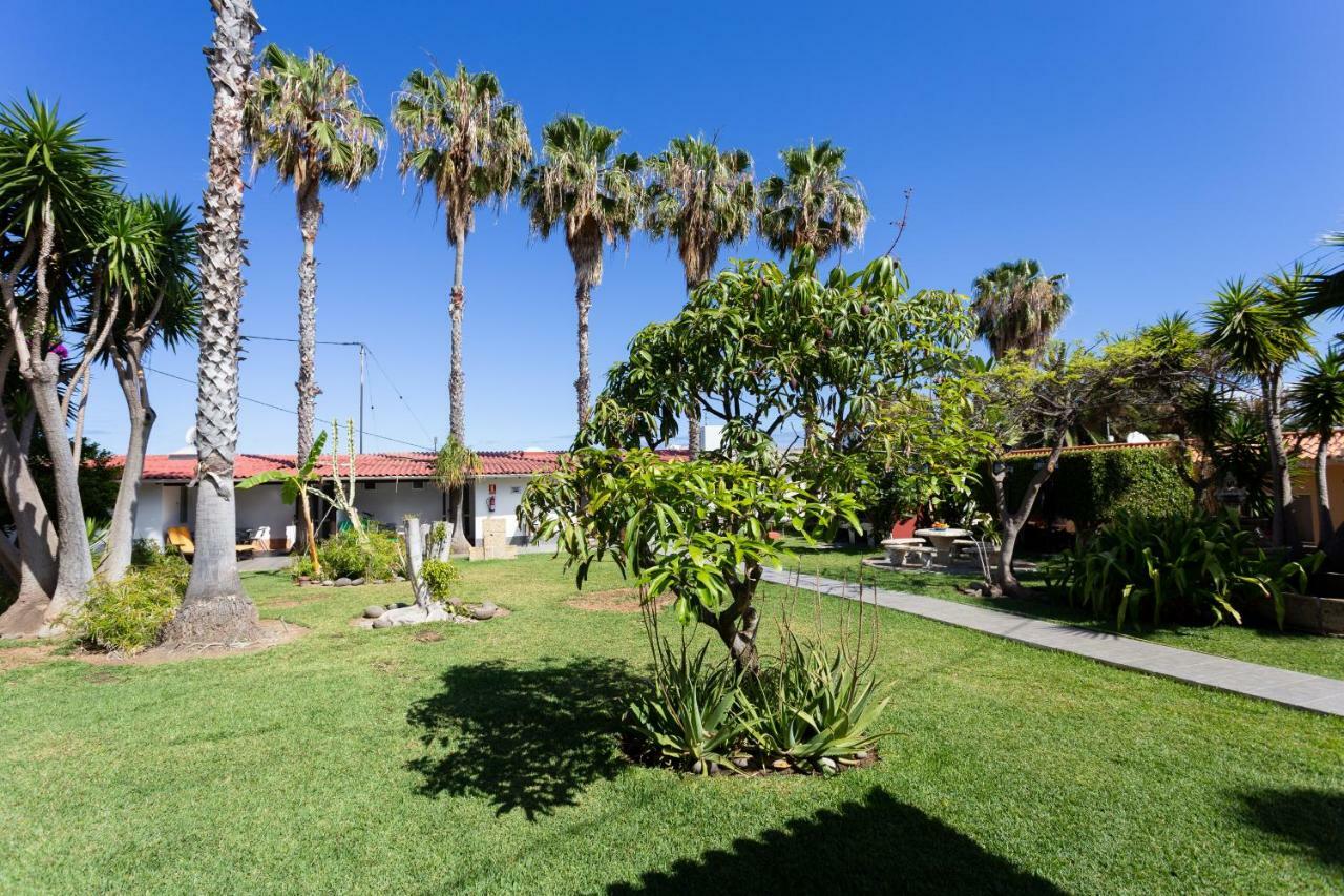 Finca La Gaviota - Las Palmeras Icod De Los Vinos Ngoại thất bức ảnh
