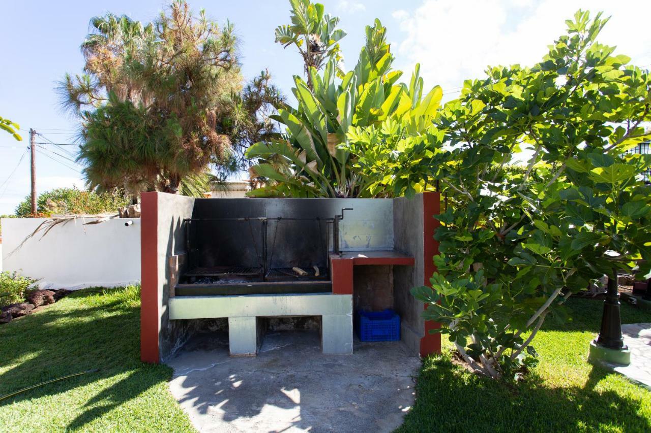Finca La Gaviota - Las Palmeras Icod De Los Vinos Ngoại thất bức ảnh